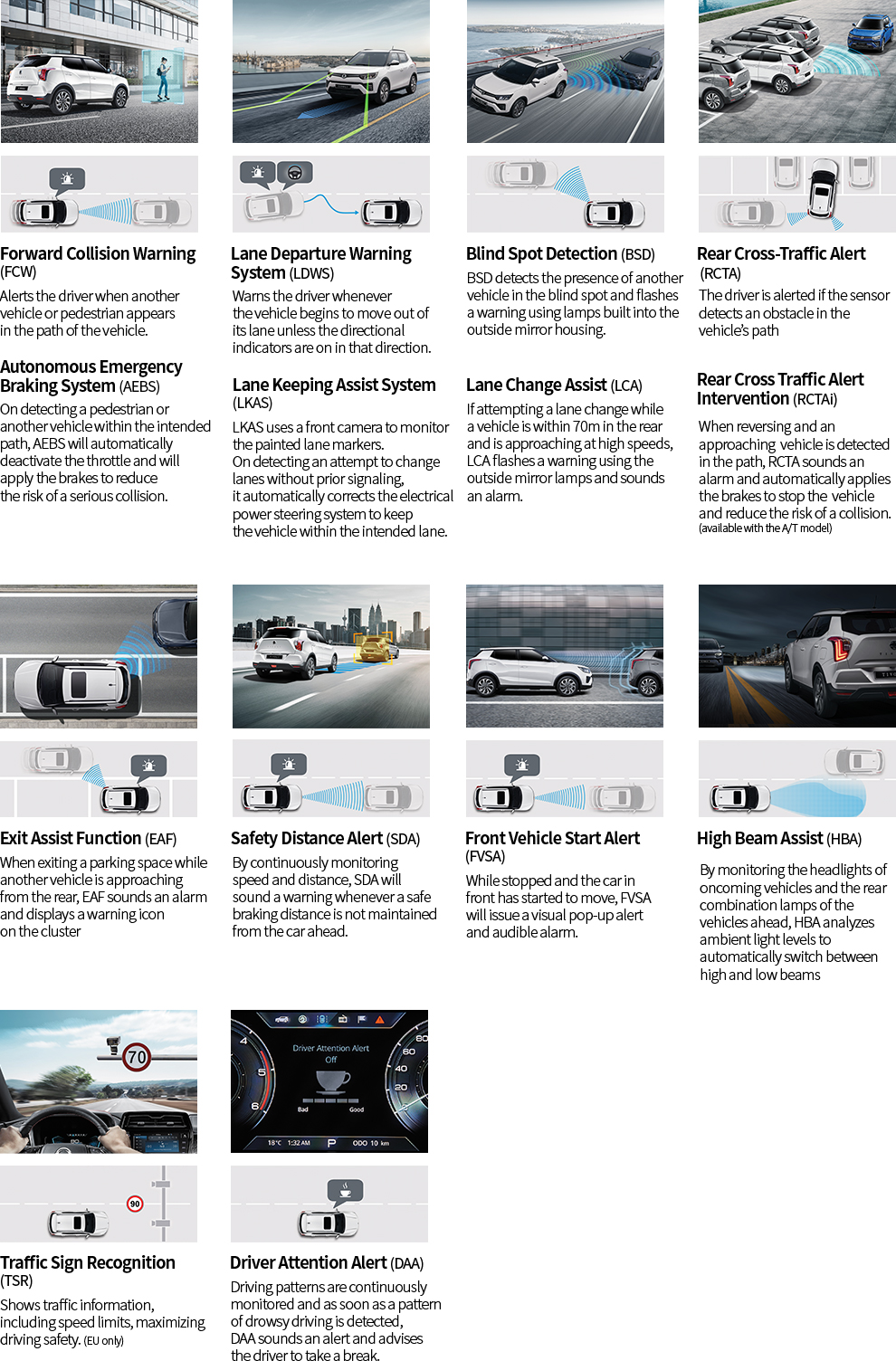 اپشن های تیوولی 2021