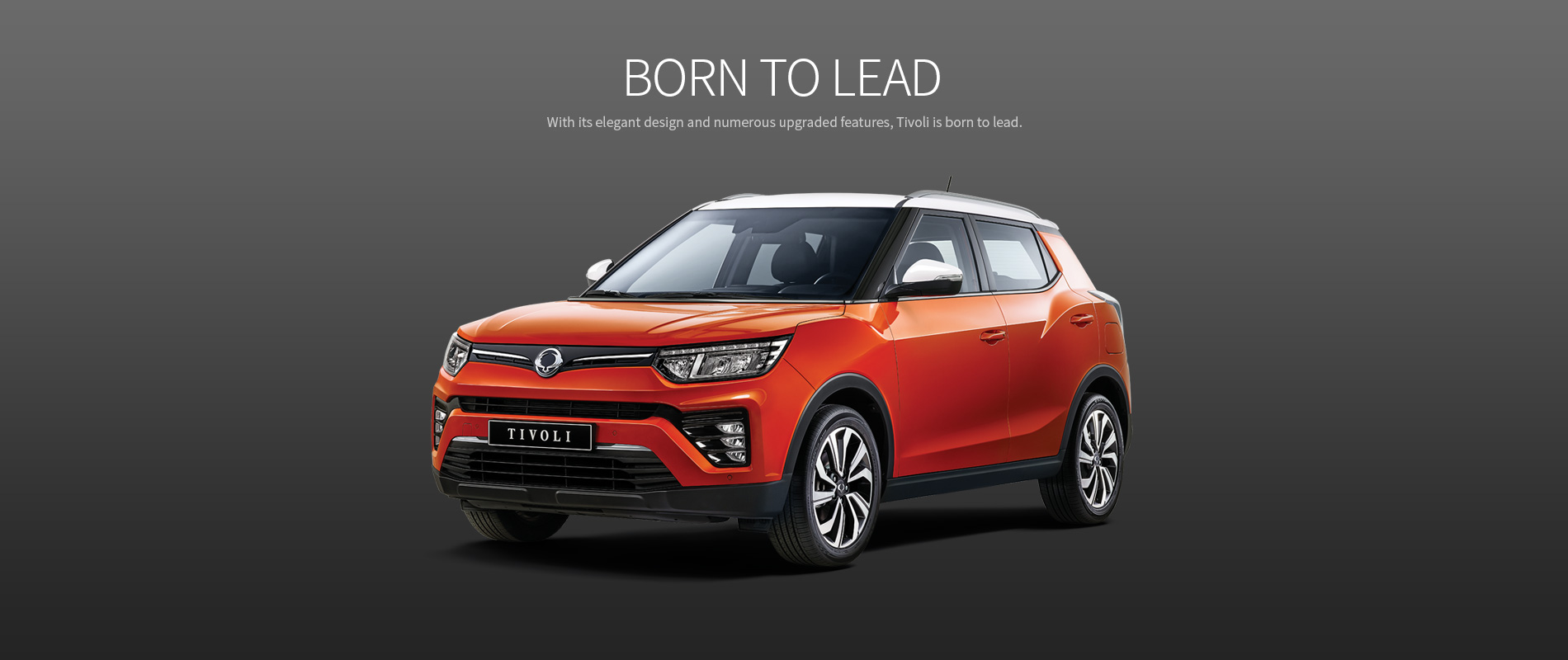 بررسی تیوولی 2021 و آپشن های آن